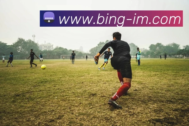 IM体育发展历程